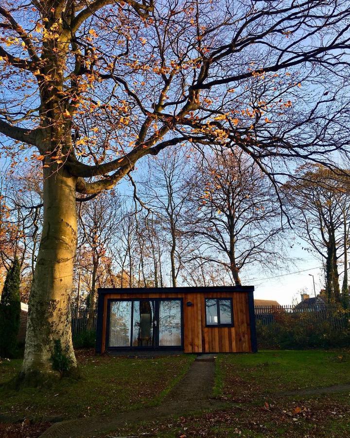 Cozy Snowdonia Chalet Caernarfon Eksteriør bilde